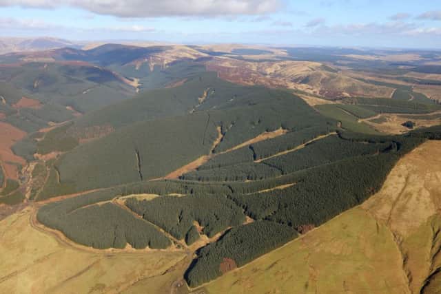 Laverhay in Dumfries and Galloway is one of the forests included in the sale. Picture: Contributed