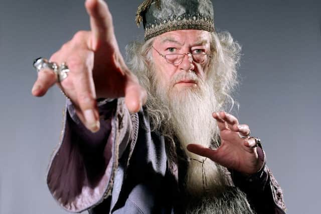Michael Gambon took on the role of Dumbledore after Richard Harris's death. Picture: Warner Bros