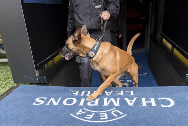 A sniffing dog and its handler search the stadium in Dortmund, (Guido Kirchner/dpa via AP)