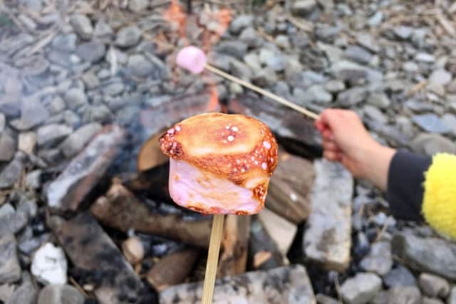 Toasting marshmallows on the campfire at One Cat Farm. Picture: Bethan Hughes