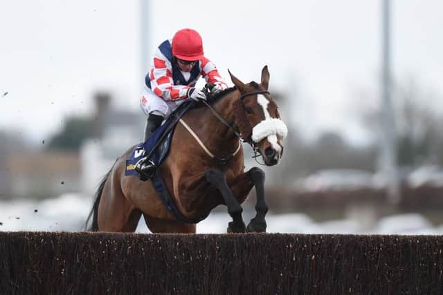 Southfield Royale should be well suited by the four-mile trip in the Scottish Grand National at Ayr. Picture: PA