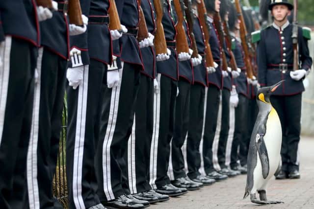 Soldiers of the King of Norway's Guard parade for inspection by their mascot, Nils Olav. Picture: Jane Barlow/PA