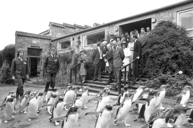 Queen Elizabeth II and Prince Philip Duke of Edinburgh watch the penguin parade at Edinburgh Zoo in June 1988. Picture: TSPL