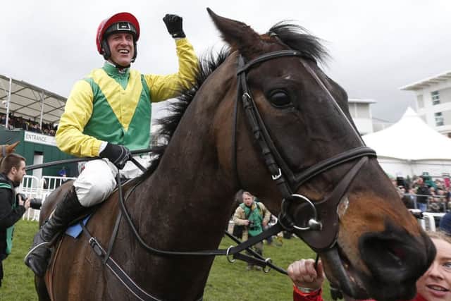 Cheltenham hero Sizing John can continue his ascent by winning the Coral Punchestown Gold Cup. Picture: Getty.