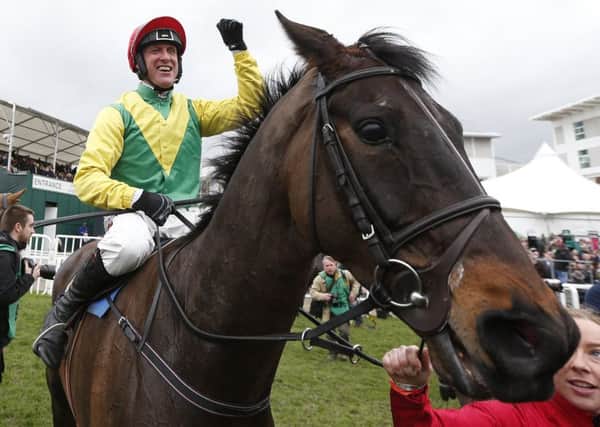 Cheltenham hero Sizing John can continue his ascent by winning the Coral Punchestown Gold Cup. Picture: Getty.