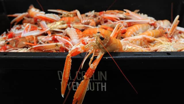 Scottish seafood remains one of the key categories growing in importance across both domestic and international markets