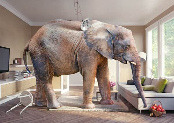 The elephant in the room is not on any lists - for now. Picture: Getty Images/iStockphoto