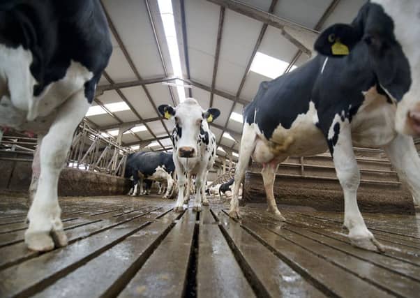 NFU Scotland wants a 'strong sign' that any price cuts would only be temporary. Picture: John Devlin