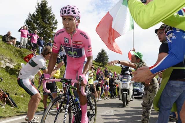 Nairo Quintana is aiming to be in the pink again when he contests the Giro d'Italia for the second time. He won the race at his first attempt in 2014. Picture: AP Photo/Fabio Ferrari