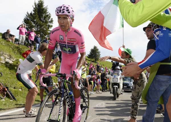 Nairo Quintana is aiming to be in the pink again when he contests the Giro d'Italia for the second time. He won the race at his first attempt in 2014. Picture: AP Photo/Fabio Ferrari