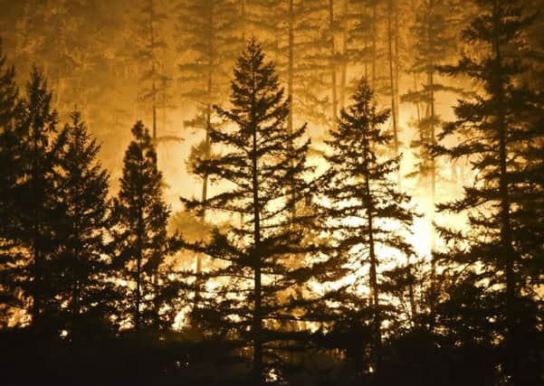 Wildfires have been raging in several places across Scotland in recent days