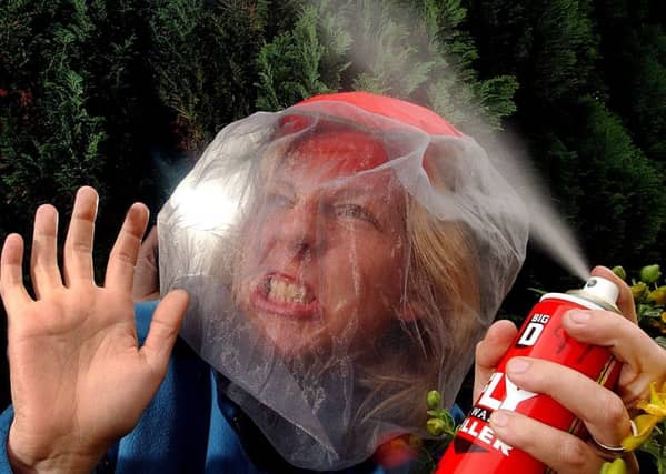 Midges are the scourge of the Highland summer.