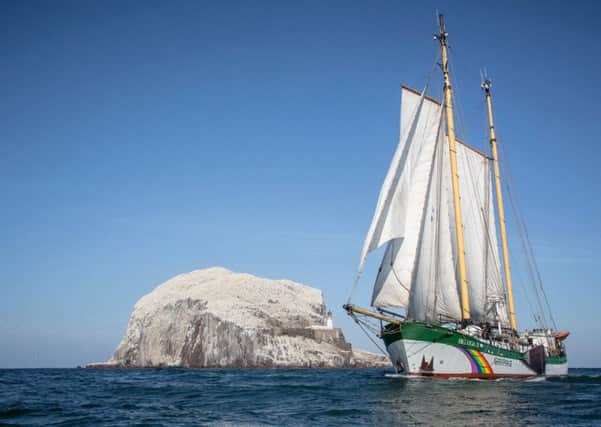 Greenpeace scientists found high levels of plastic pollution at the seabird colony on Bass Rock during the first dsay of a two-month scientific research cruise around Scotland.
Picture: Kajsa Sjölander/Greenpeace