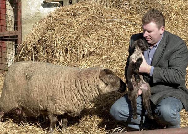 About 50% of vets registered in the UK come from the rest of the EU. Picture: John Cogill/AP