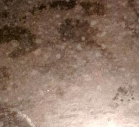 Adolf Hitlers face appeared on the worktop while Steven Hunter from Glasgow was doing the washing up. Picture: SWNS