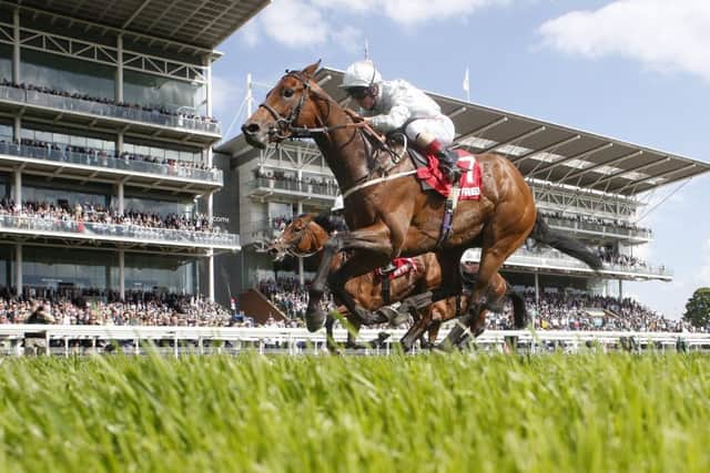 Franny Norton rides Permian to glory in the Betfred Dante Stakes at York. Picture: Alan Crowhurst/Getty Images
