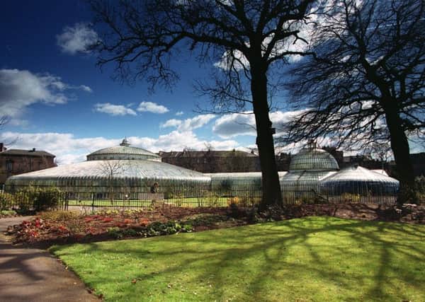 The Kibble Palace in the Botanic Gardens Glasgow.
Picture: Allan Milligan