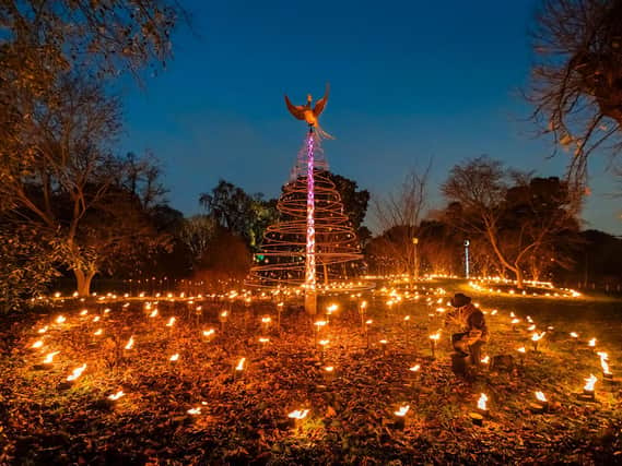 A circular carpet of dancing flames will create a "fire garden" for the new Christmas at the Botanics event.