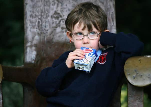 NFU Scotland wants the school milk scheme to include local cheese and yoghurt. Picture: Julien Behal/PA