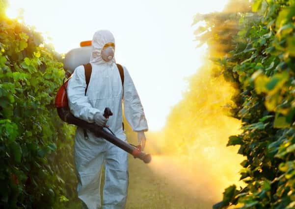 Glyphosate is 'extremely important' for growers in wetter climates, said NFU Scotland's Andrew Bauer. Picture: Getty Images/iStockphoto