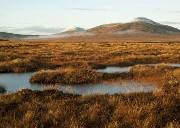 A project to restore peat bogs at Forsinard, in Sutherland's Flow Country, is among six international initiatives to win funding from the European Outdoor Conservation Association