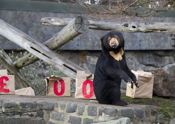 Edinburgh Zoo has seen a dramatic increase in its rateable value. Picture: Contributed