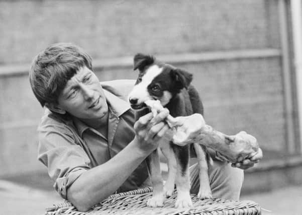 Library filer 257297-38 dated 29.9.93 of  Blue Peter veteran John Noakes, who is to revive his TV career by fronting a new series about Britain's obsession with animals.
Noakes, will be going on the road later this month to make the show Mad About Pets, which marks his ITV debut.