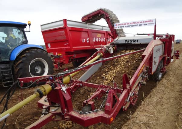 New smartphone tech could give potato producers better data on their crop yields. Picture: Johnston Press
