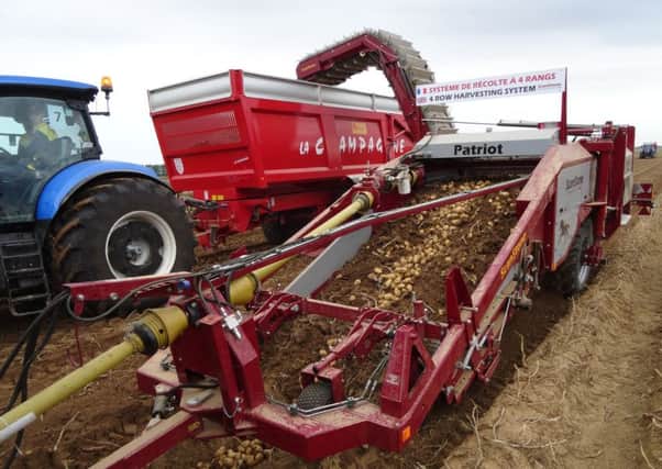 New smartphone tech could give potato producers better data on their crop yields. Picture: Johnston Press