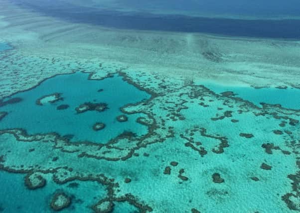 An aerial view of the Great Barrier Reef in 2014. Picture: AFP/Getty Images