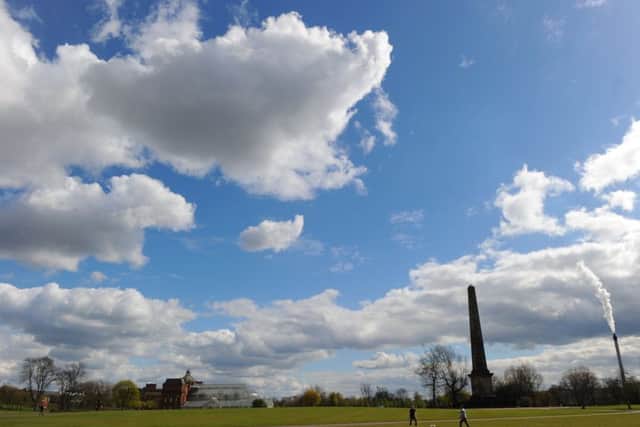Coal was found in around 30 acres of the upper section of the park. PIC: Robert Perry/TSPL.