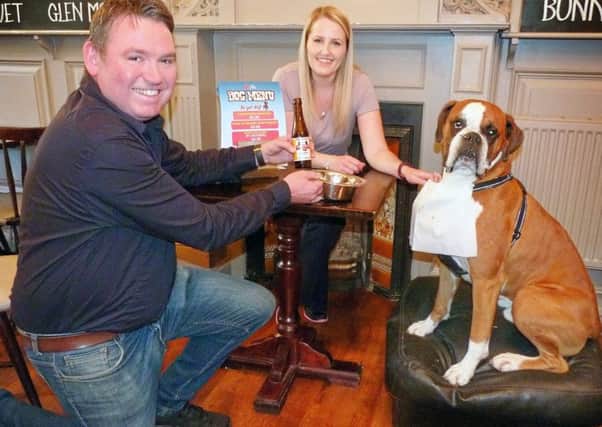 A pampered pooch about to enjoy the offerings from Obans Lorne Bar dogs menu. Picture: Contributed