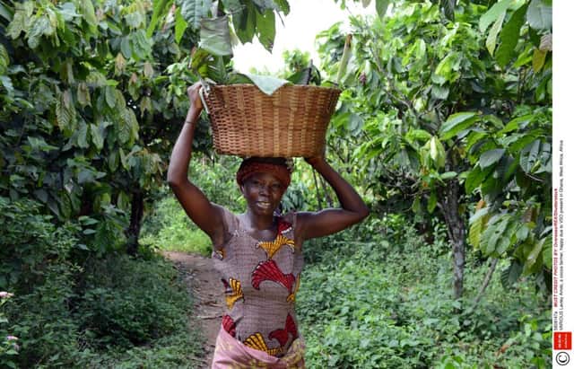 Lavtey Amds, a cocoa farmer in Ghana. Picture: Voluntary Service Overseas