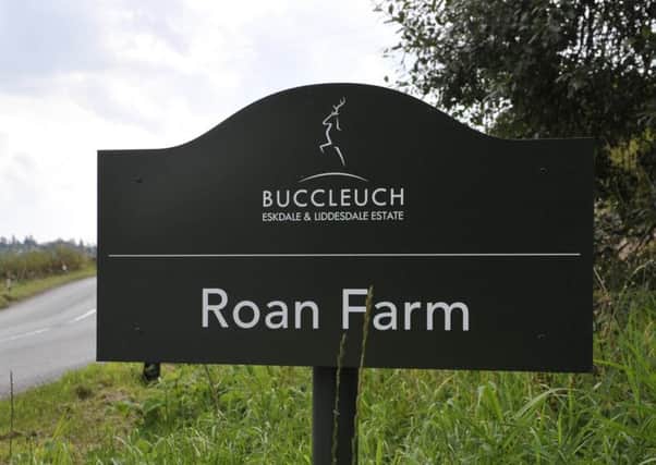 Buccleuch is in advanced talks over the sale of ten farms. Picture: Stuart Cobley