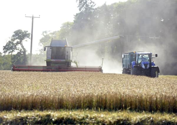 The Sustain group believes there should be no 'top-down' UK farming policy. Picture: Michael Gillen