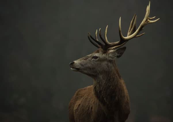 A science link-up in Edinburgh might make it easier to catch Highland deer poachers.