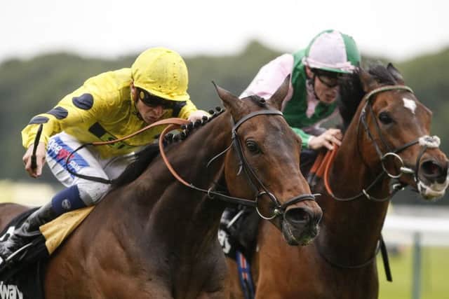 Absolutely fabulous double for David Probert