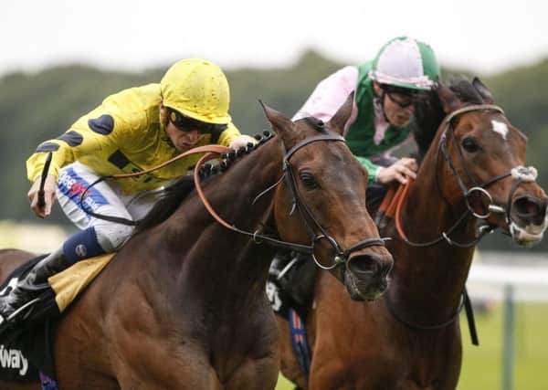 David Probert, in yellow, wins on Absolutely So. Photograph: Alan Crowhurst/Getty