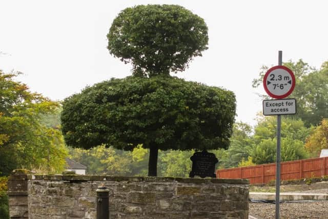 A terrible fire in 1716 prompted the planting of a 'protective' thorn tree. Picture: Simon Warren/Dunning Parish Historical Society