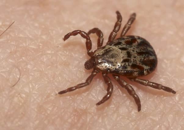Research suggests up to 14 per cent of ticks in Scotland carry the bacteria that causes Lyme disease in humans, a potentially debilitating condition affecting the nervous system