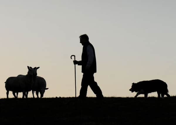 The code aims to help landlords and tenants work together 'in a fair and transparent manner'. Picture: Ian Rutherford