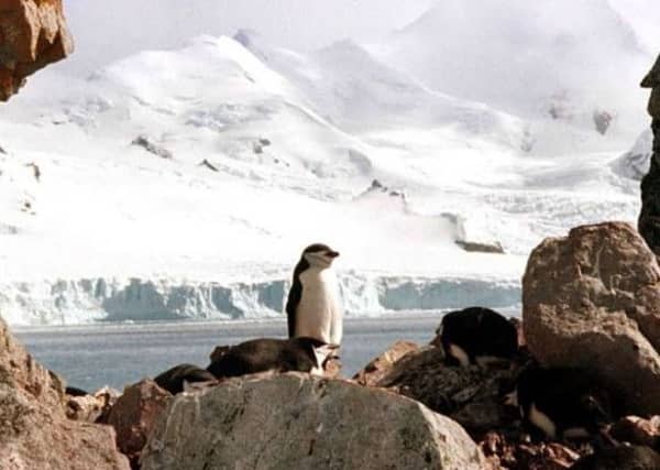 Large areas of the Antarctic ice sheet have melted.