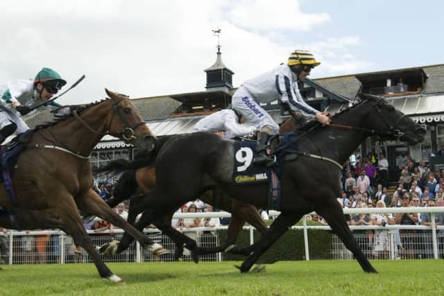 Line of Reason swoops late to win the Sprint Cup.  Photograph: Andy OBrien