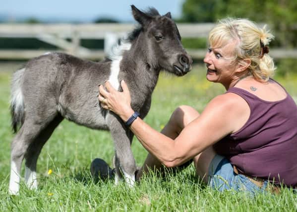 Pint-size filly MicroBoo with owner Jen Baldwin-Murphy. Picture: SWNS