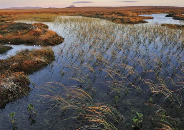 Visitors following the North Coast 500 route enjoy Scotland's spectacular scenery.