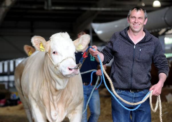 Preparations taking place for the Royal Highland Show, which runs from today until Sunday. Picture: Lisa Ferguson