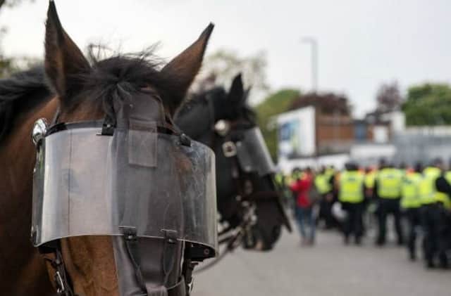 A 41-year-old man fed sausage rolls to police horses in September 2012, leading to a breach of the peace charge. Picture: Getty