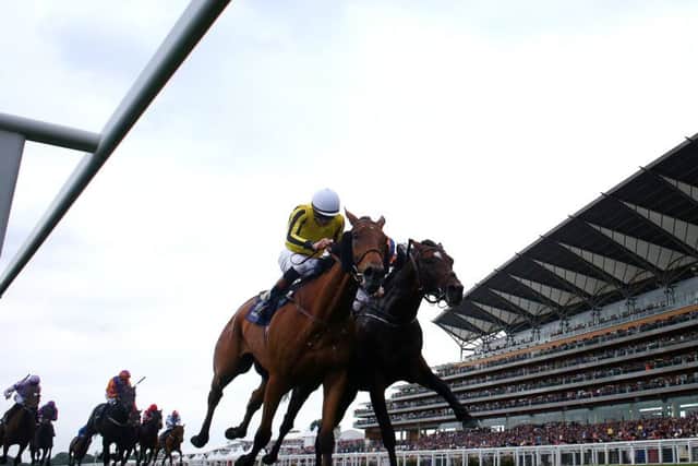 Big Orange and jockey James Doyle, left, just hold off Order Of St George at the line. Picture: Charlie Crowhurst