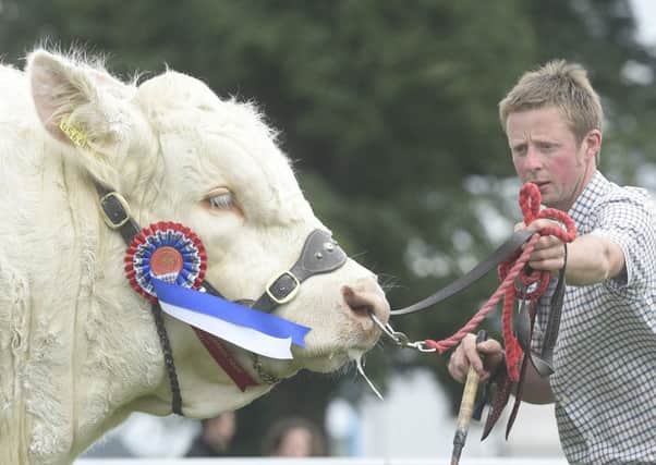 The annual Royal Highland Show at Ingliston is a traditional link between farmers and the public, and the growth of farmers markets in the last 20 years has strengthened the connection.  Picture: Greg Macvean