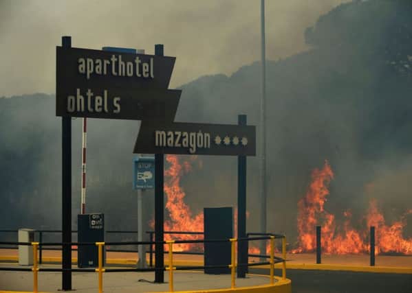 The fire started overnight and had by morning encroached on the Donana National Park at Moguer in the southern region of Andalusia.
 Picture: CRISTINA QUICLER/AFP/Getty Images